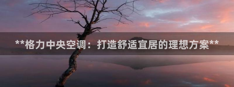 环球360会员登录不了