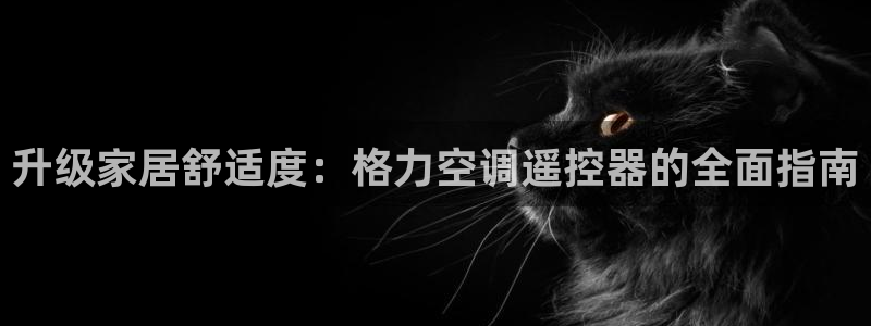 环球360官网会员注册账号