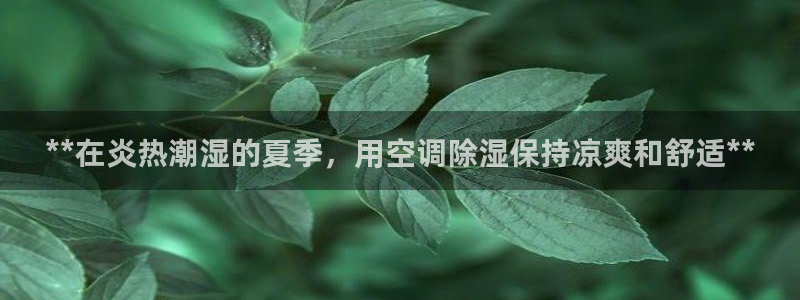 环球360片尾