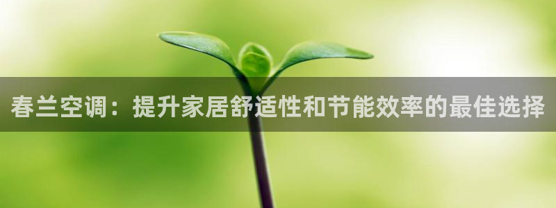 环球360代理买分