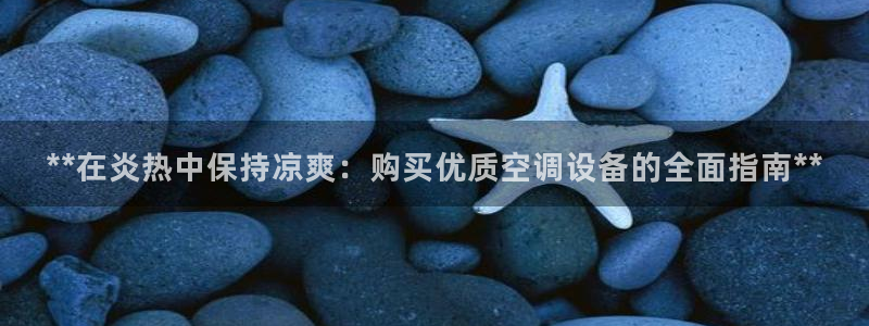 环球360国际