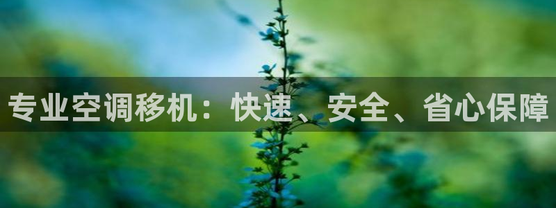 环球360假网假线包杀一比一