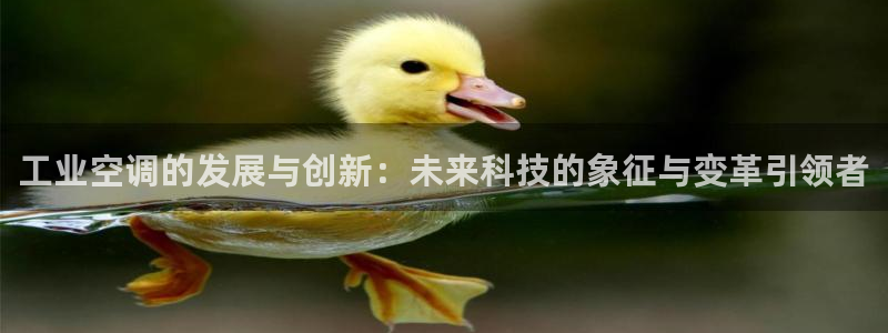 环球360有假吗