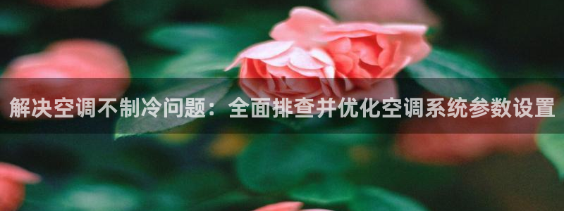 环球360飞机视频播放