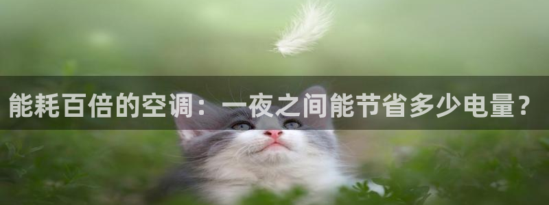 菲律宾环球360登陆网址是什么