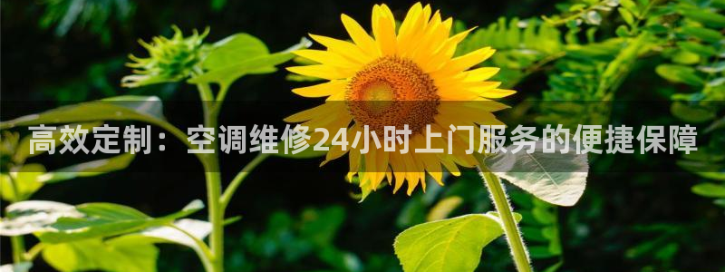 环球360官网手机版下载安装教程