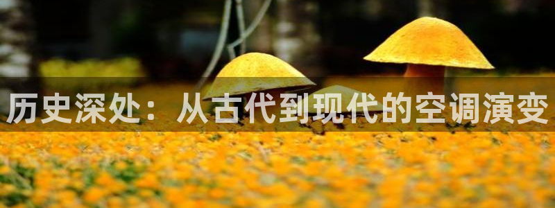 环球360全景影像说明书下载