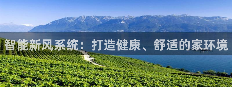 360环球官网