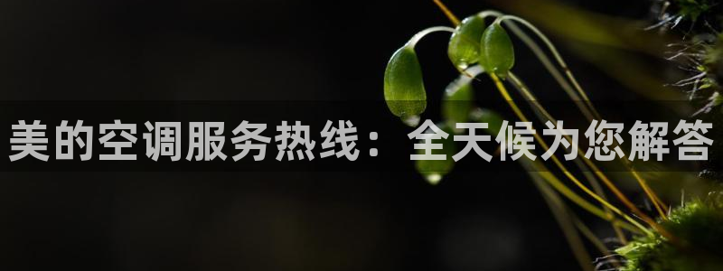 环球360官网入口下载